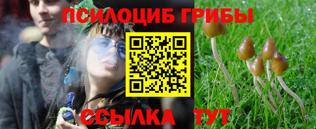 Рассказово  Галлюциногенные грибы Cubensis  Вход с VPN 