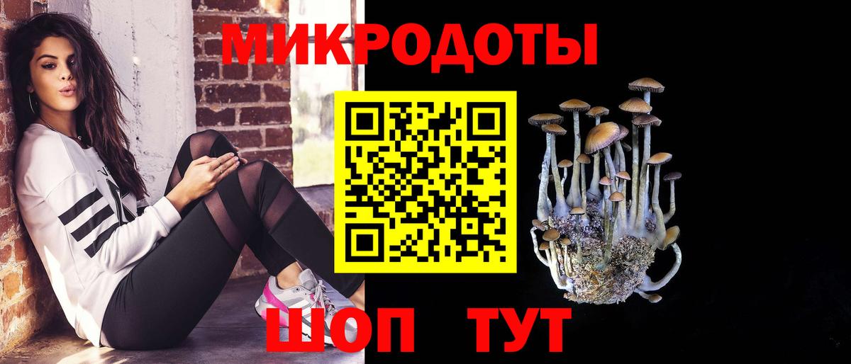 Галлюциногенные грибы Psilocybe Рассказово